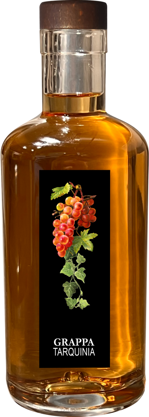 Grappa Tarquinia