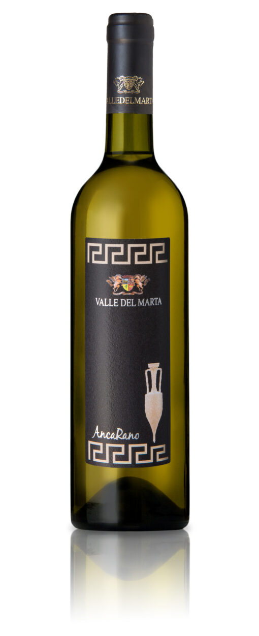 Ancarano White wine